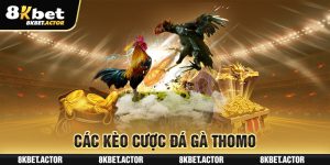 Các kèo cược đá gà Thomo