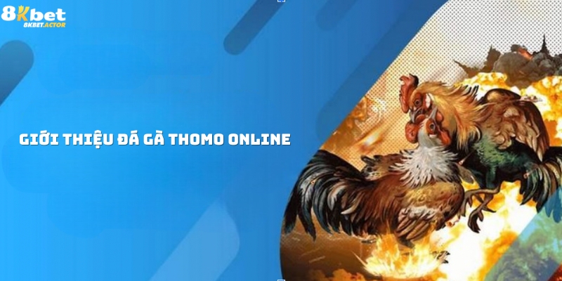 Giới thiệu thông tin chung đá gà Thomo online