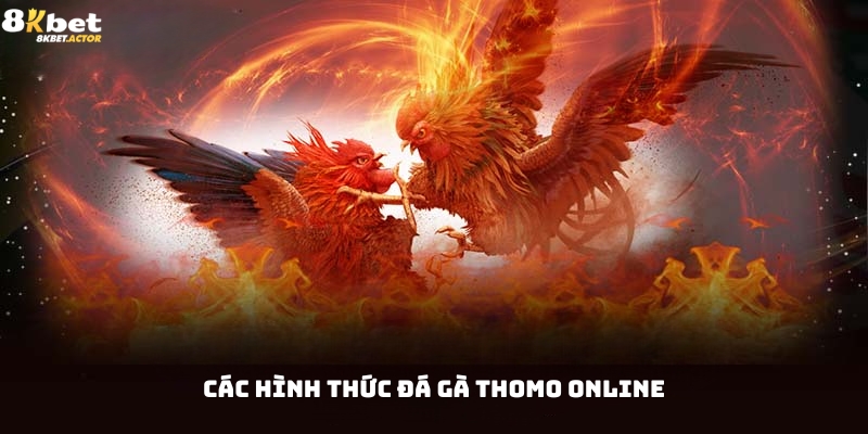 Các hình thức cược đá gà Thomo online