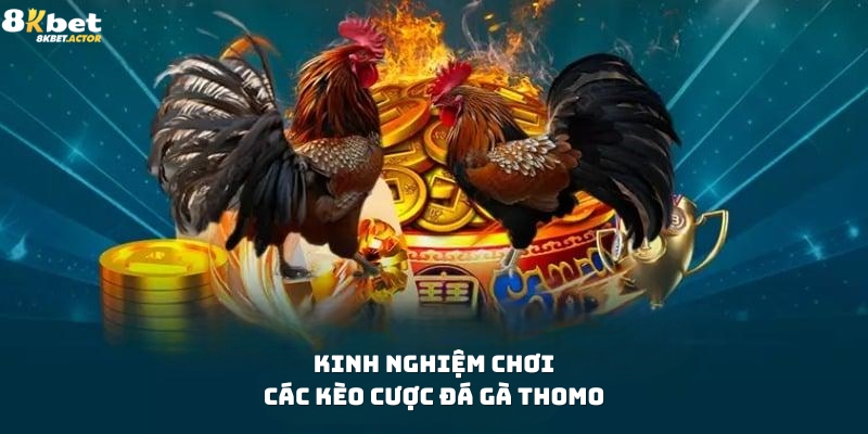 Kinh nghiệm tham gia các kèo cược đá gà Thomo