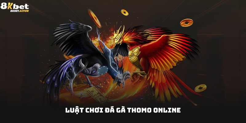 Luật chơi đá gà Thomo online chi tiết cho tân thủ